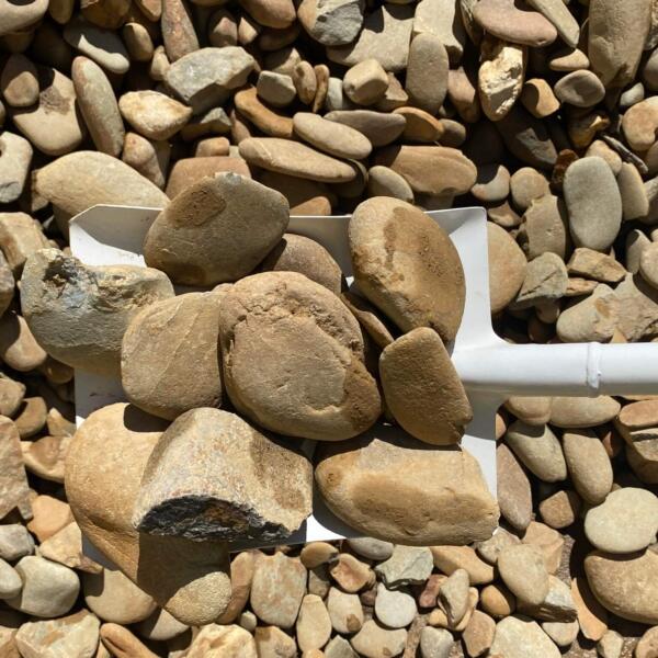 50-75mm River Bed Pebbles 1