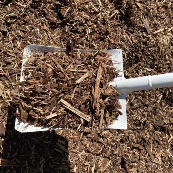 Pine Mulch 1